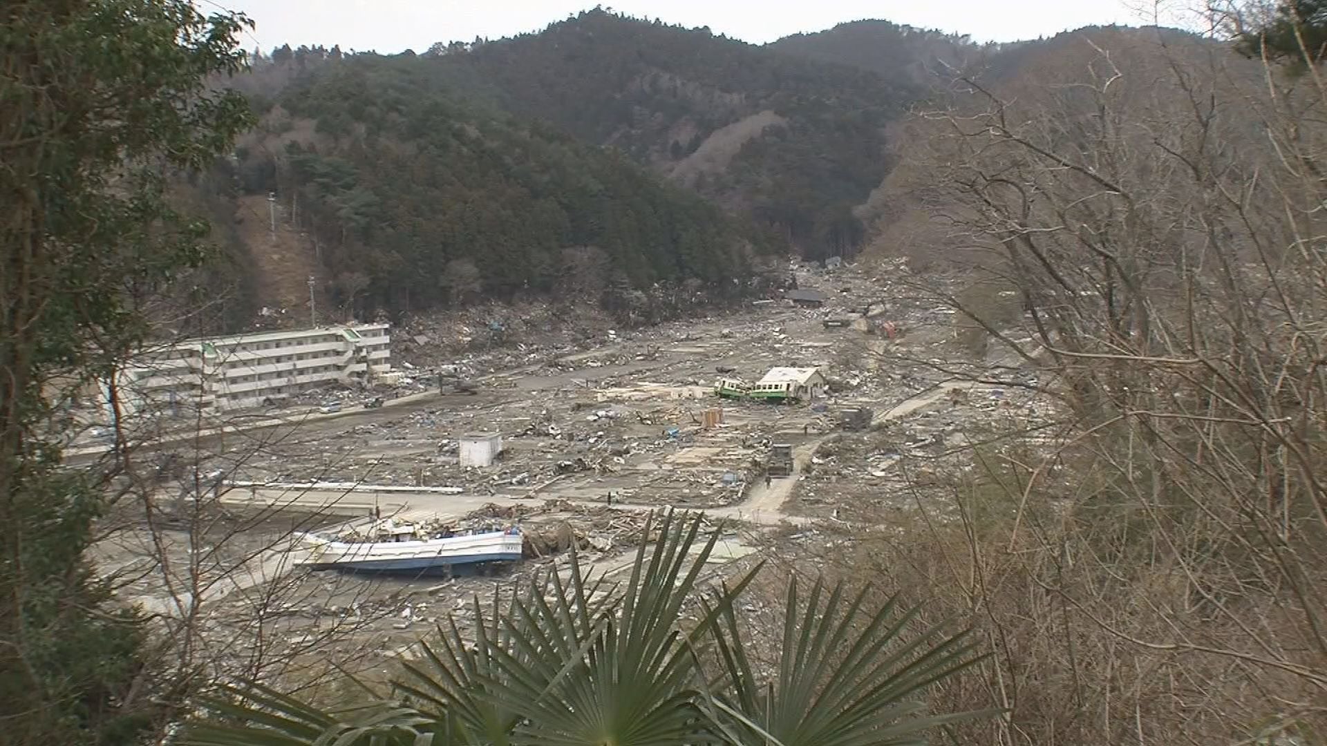 ZTV特別番組 東日本大震災から15年｜satonoka(さとのか)